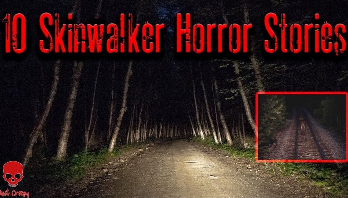 Embedded thumbnail for 4 TRUE Scary SKINWALKER Horror Stories